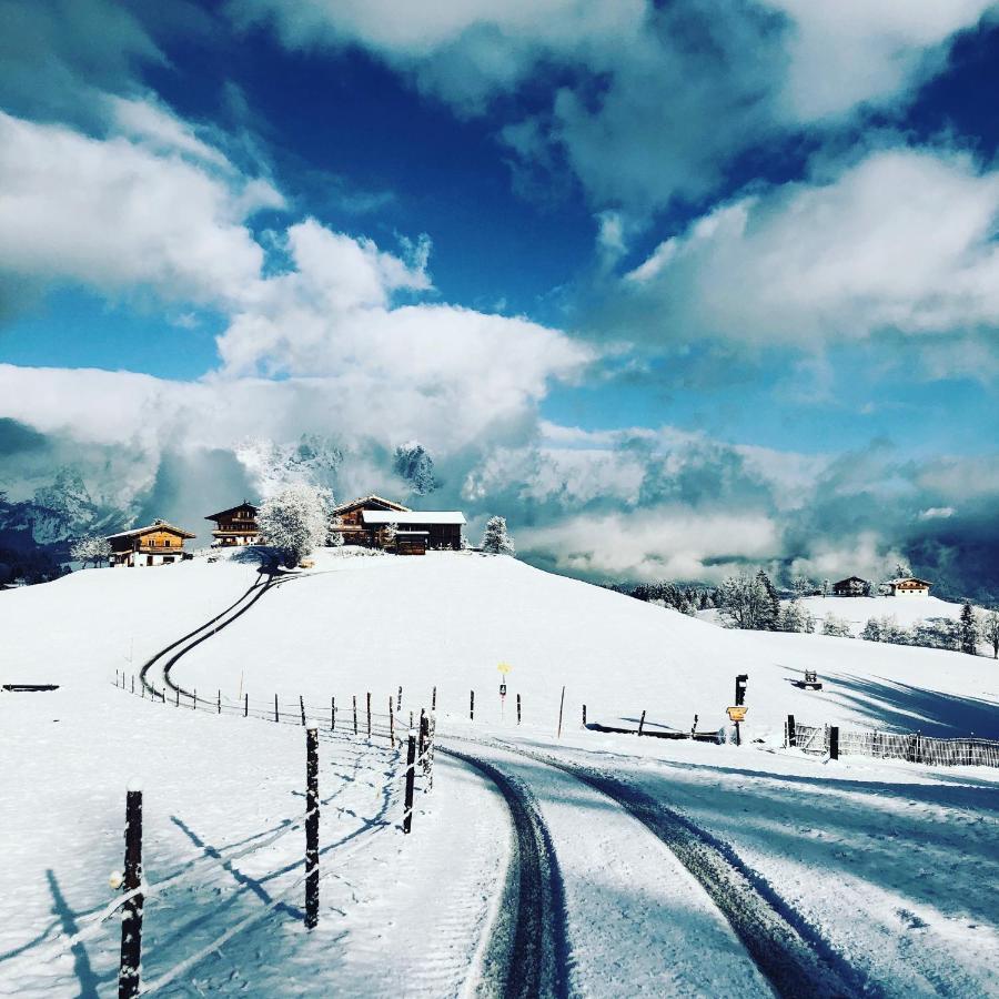 Mountain Vista - Bio Yoga Hof Daire Kitzbühel Dış mekan fotoğraf