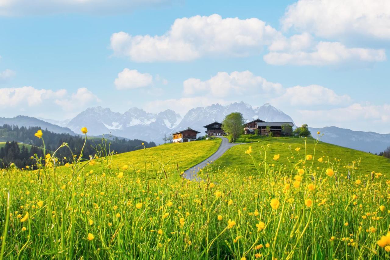 Mountain Vista - Bio Yoga Hof Daire Kitzbühel Dış mekan fotoğraf