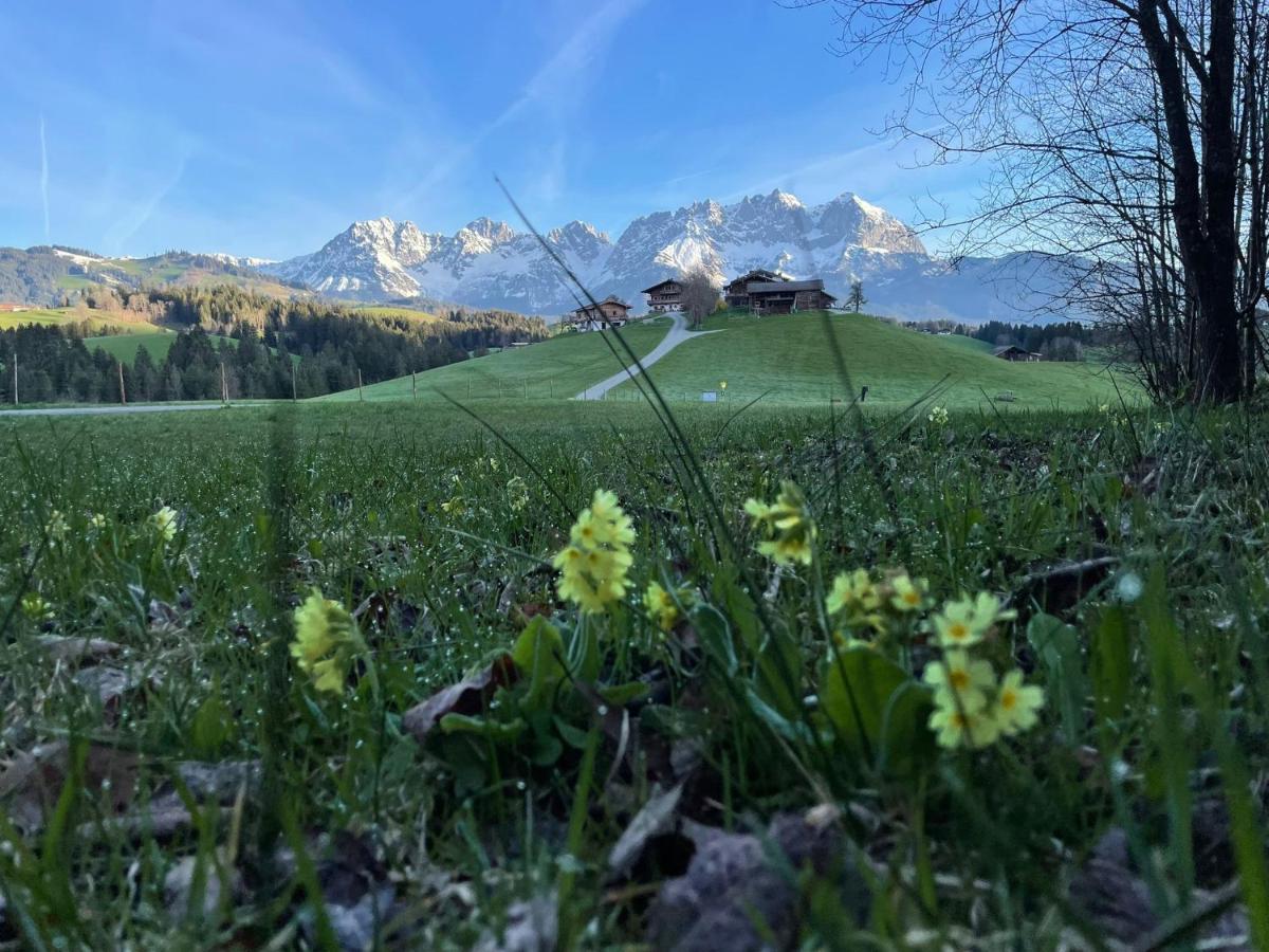 Mountain Vista - Bio Yoga Hof Daire Kitzbühel Dış mekan fotoğraf