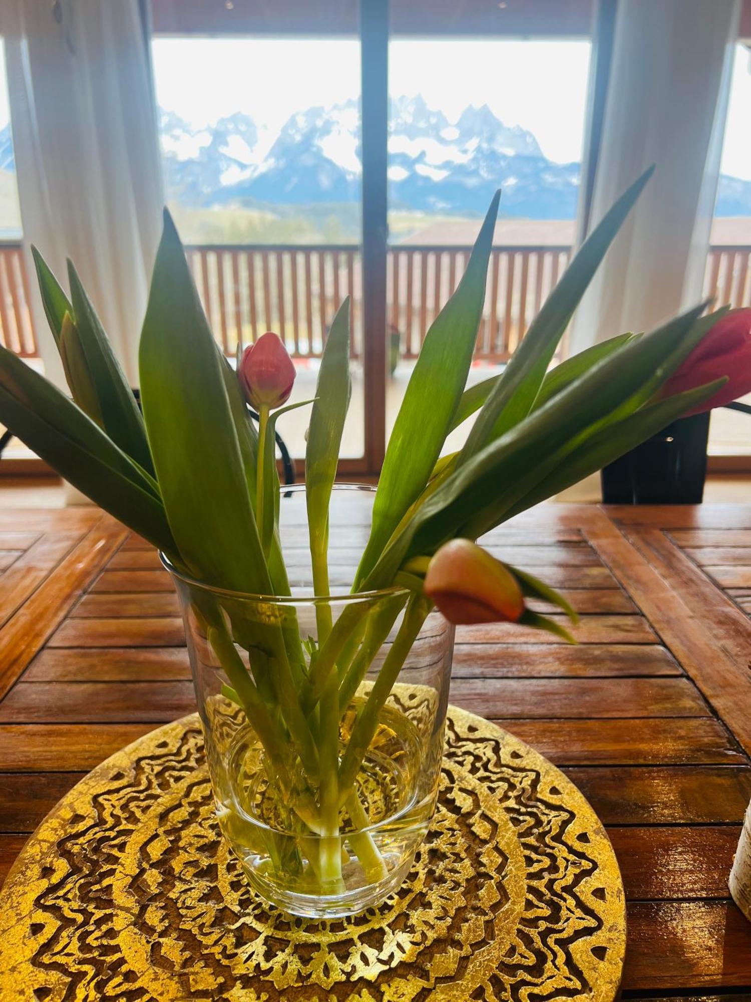Mountain Vista - Bio Yoga Hof Daire Kitzbühel Dış mekan fotoğraf